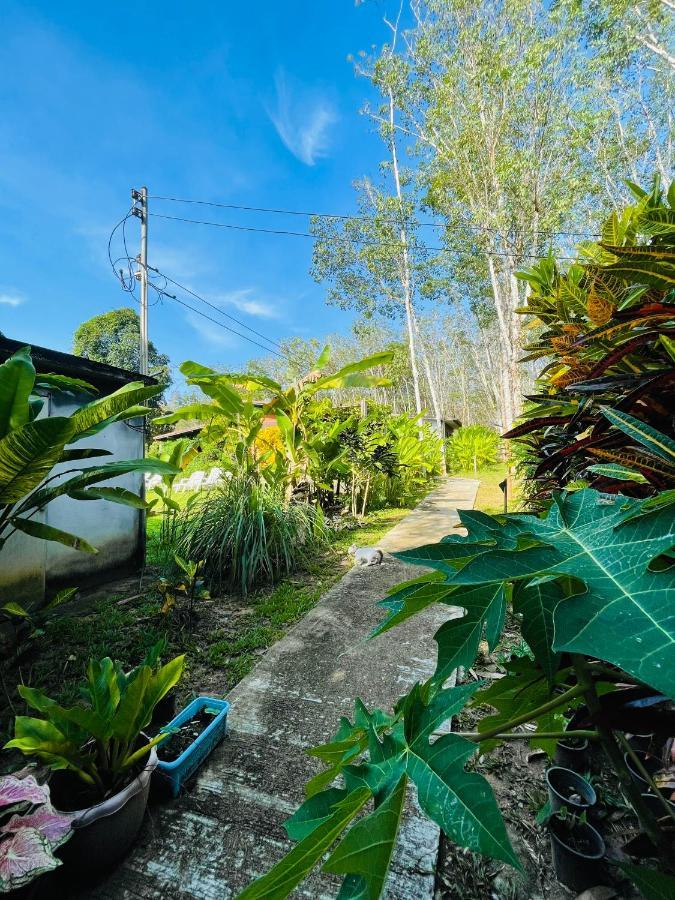 Lok Mun Bungalows Ko Yao Noi Esterno foto